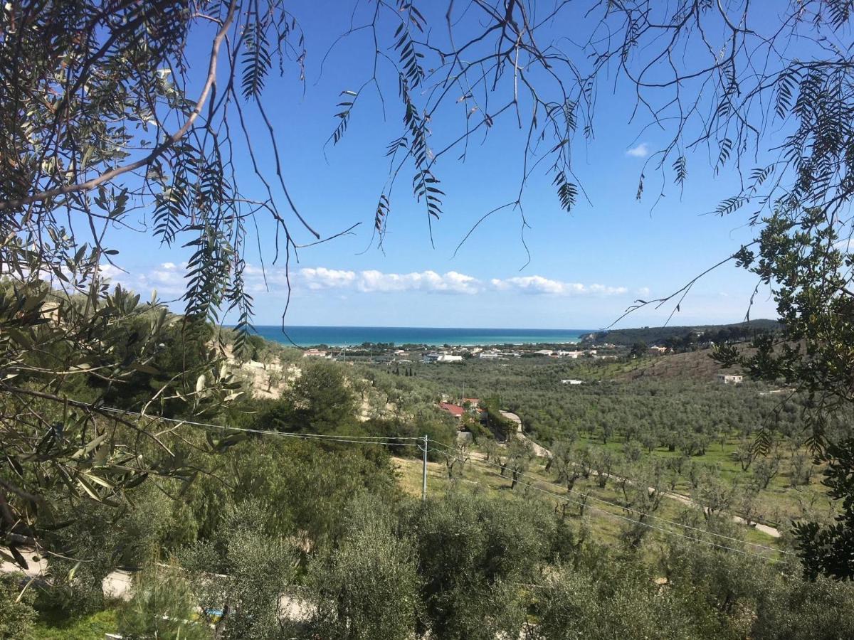 La Corte Del Sole Vieste Exteriér fotografie
